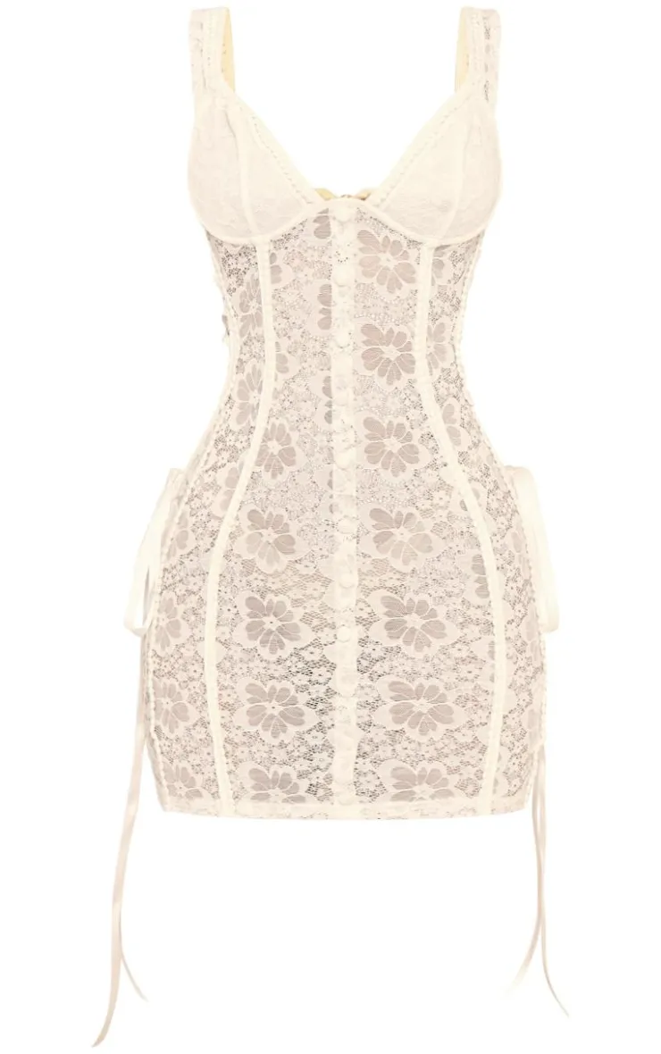 Petite Stretch Lace Fitted Mini Dress-PrettyLittleThing Online